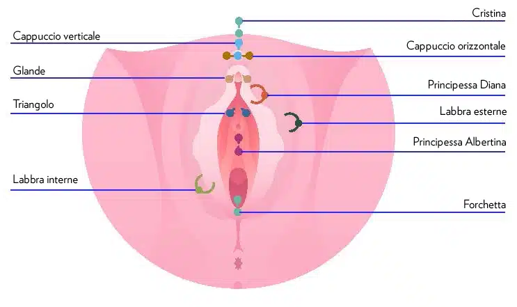 Illustrazione di una vagina con i diversi tipi di piercing genitali