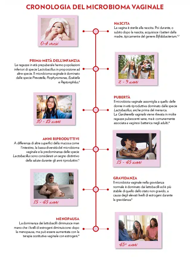 Timeline del microbioma vaginale