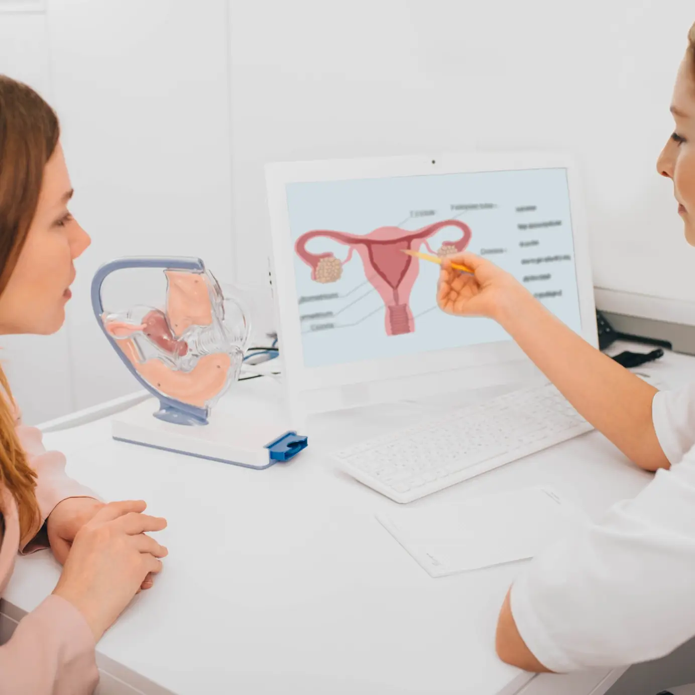 Dottoressa che spiega a una paziente l'anatomia della vagina